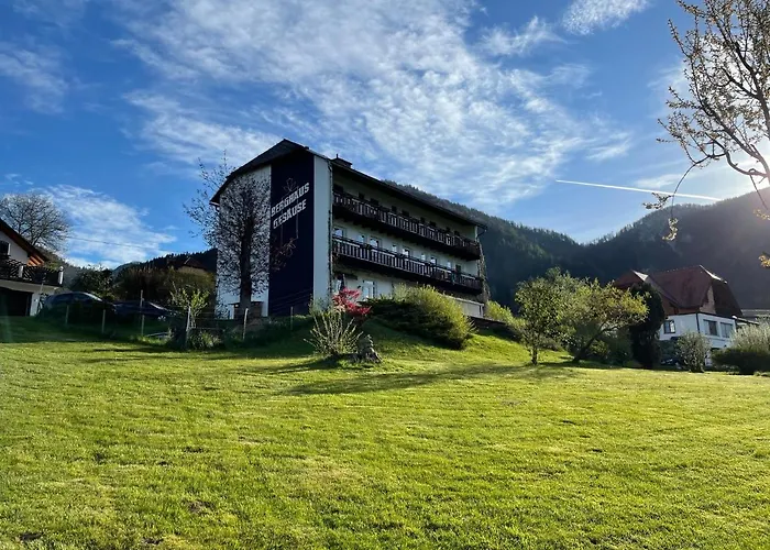 Guest house Berghaus Gesaeuse 3*