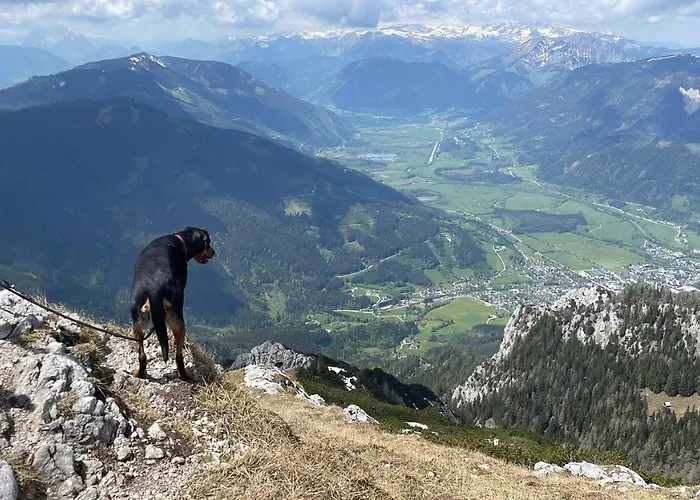 Guest house Berghaus Gesaeuse